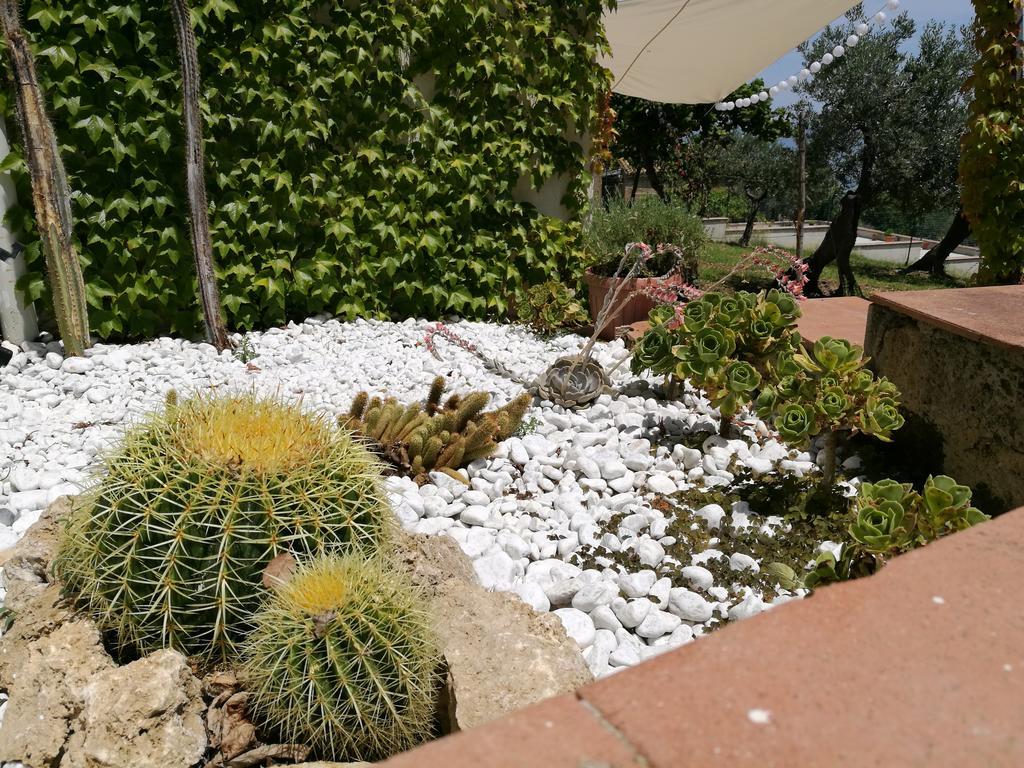 Villa Rosaria Vasto Exterior foto
